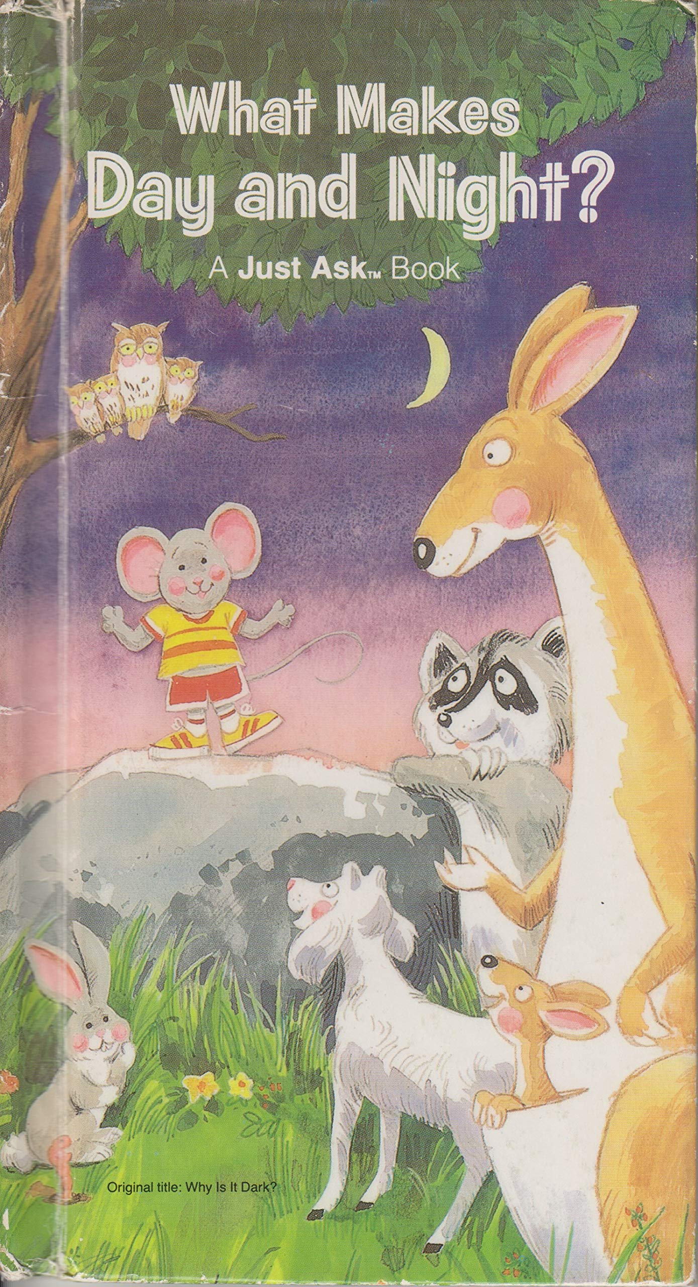 What Makes Day and Night? (A Just Ask Book)