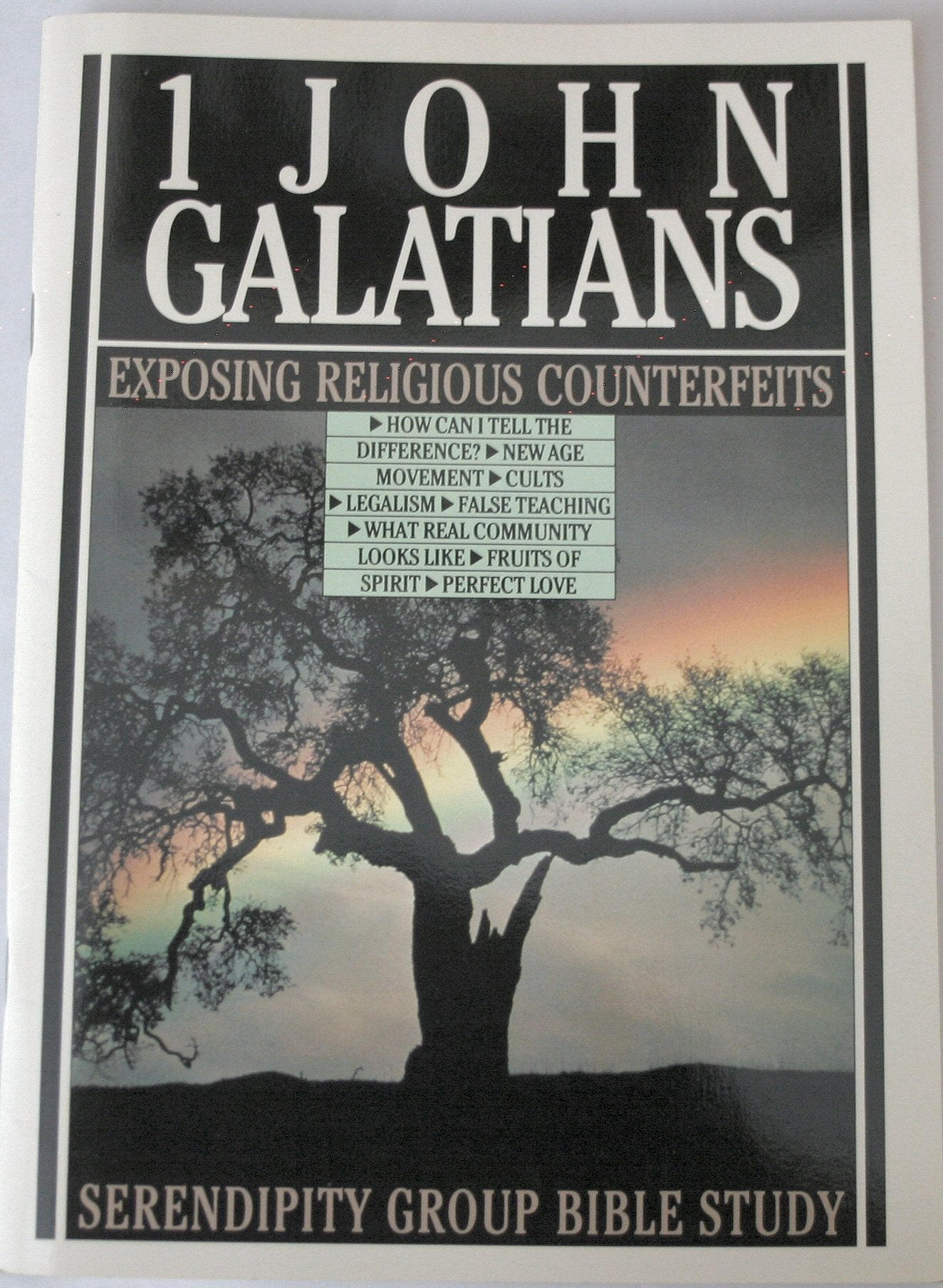 1 John ; Galatians: Exposing Religious Counterfeits (Serendipity Group Bible Study)