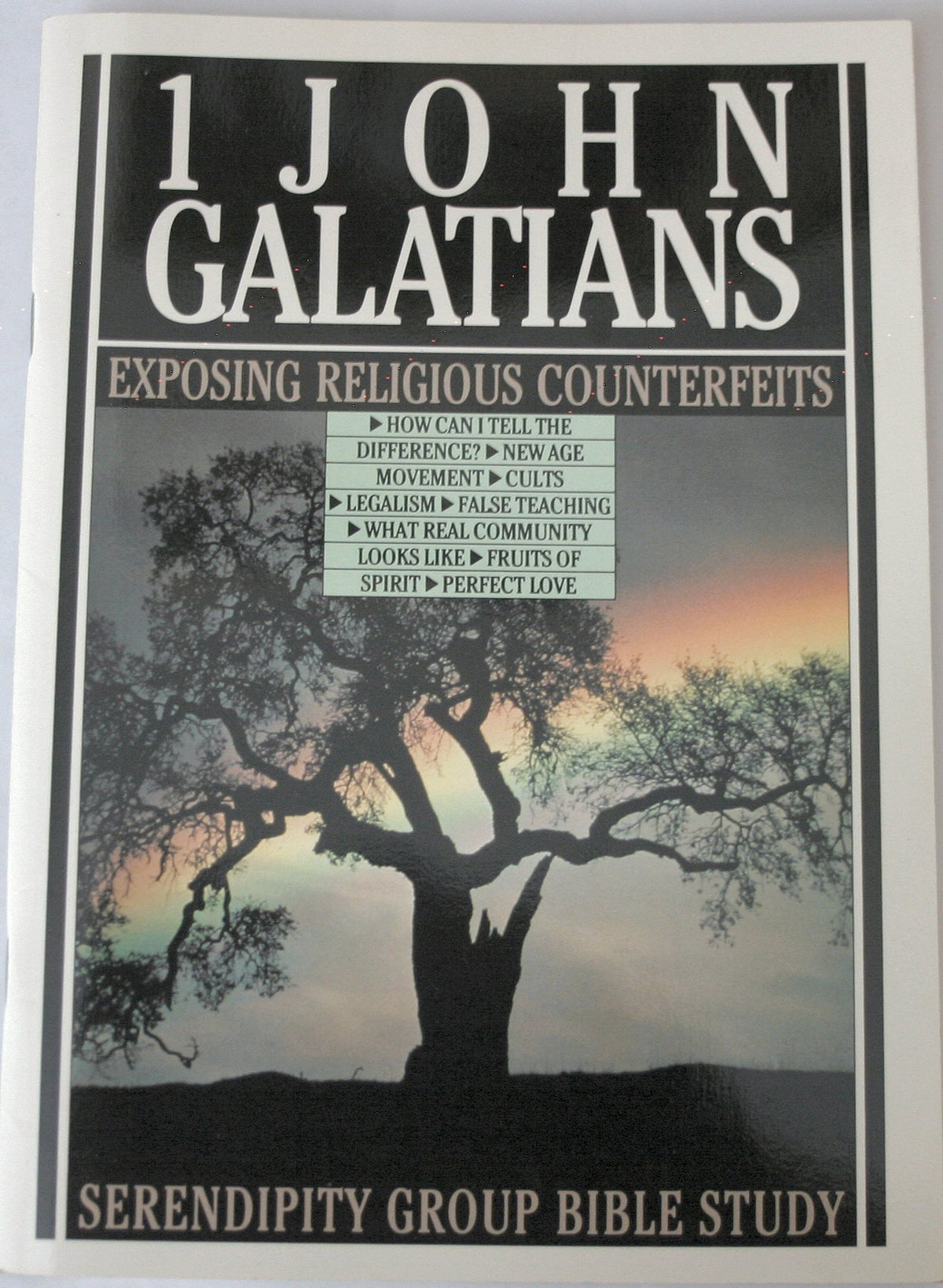 1 John ; Galatians: Exposing Religious Counterfeits (Serendipity Group Bible Study)