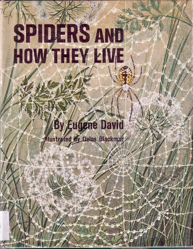 Spiders and how they live (P-H junior research books)
