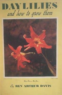 Daylilies and how to grow them