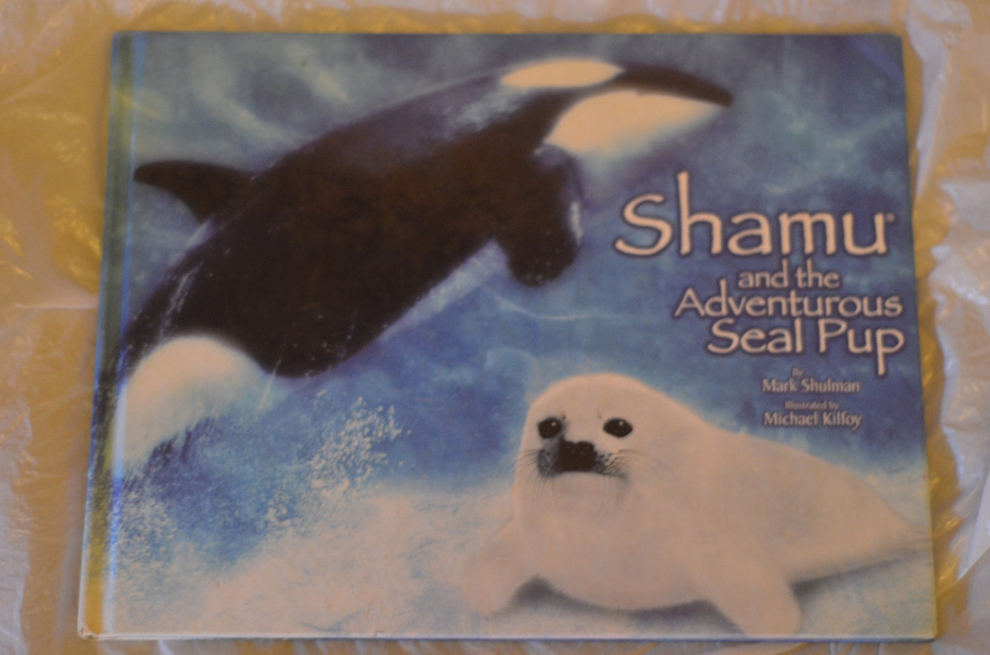 Shamu and the Adventurous Seal Pup