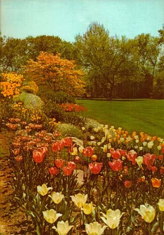 New Illustrated Encyclopedia of Gardening-vol.10 (New Illustrated Encyclopedia of Gardening, unabridged, vol.10)