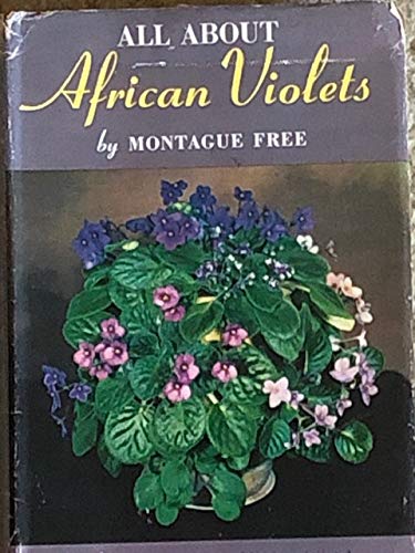 All About African Violets