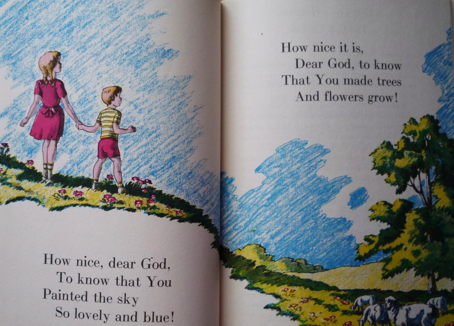 My Favorite Book