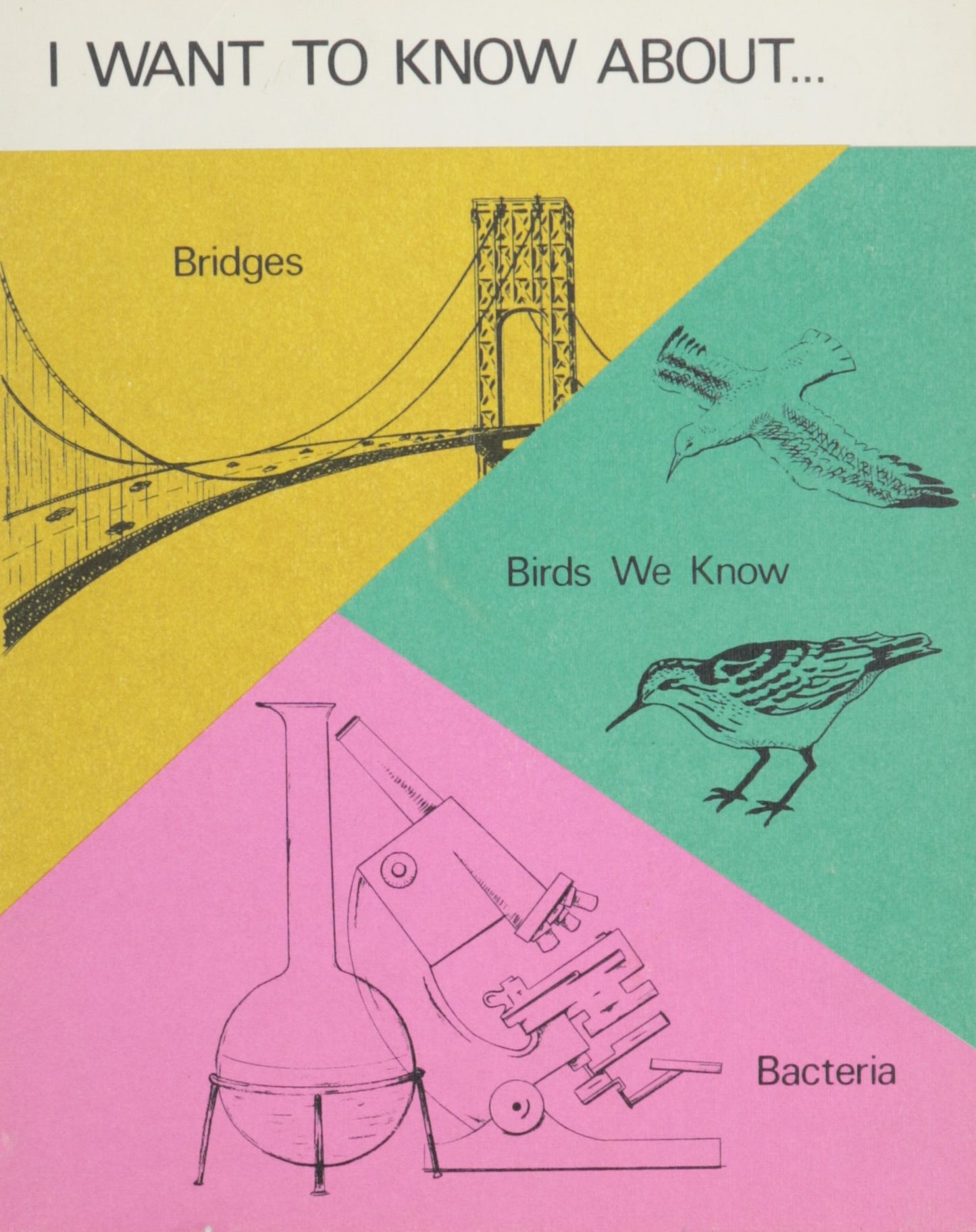 I Want to Know About... Bridges, Birds We Know, Bacteria (Vol. 8)