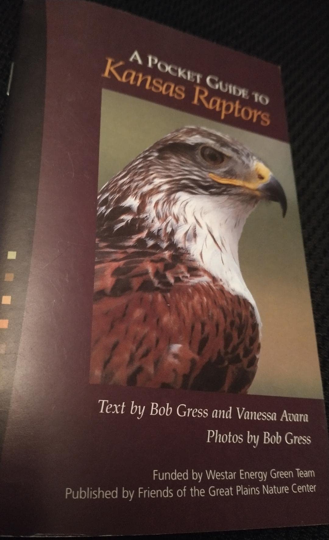 A Pocket Guide to Kansas Raptors