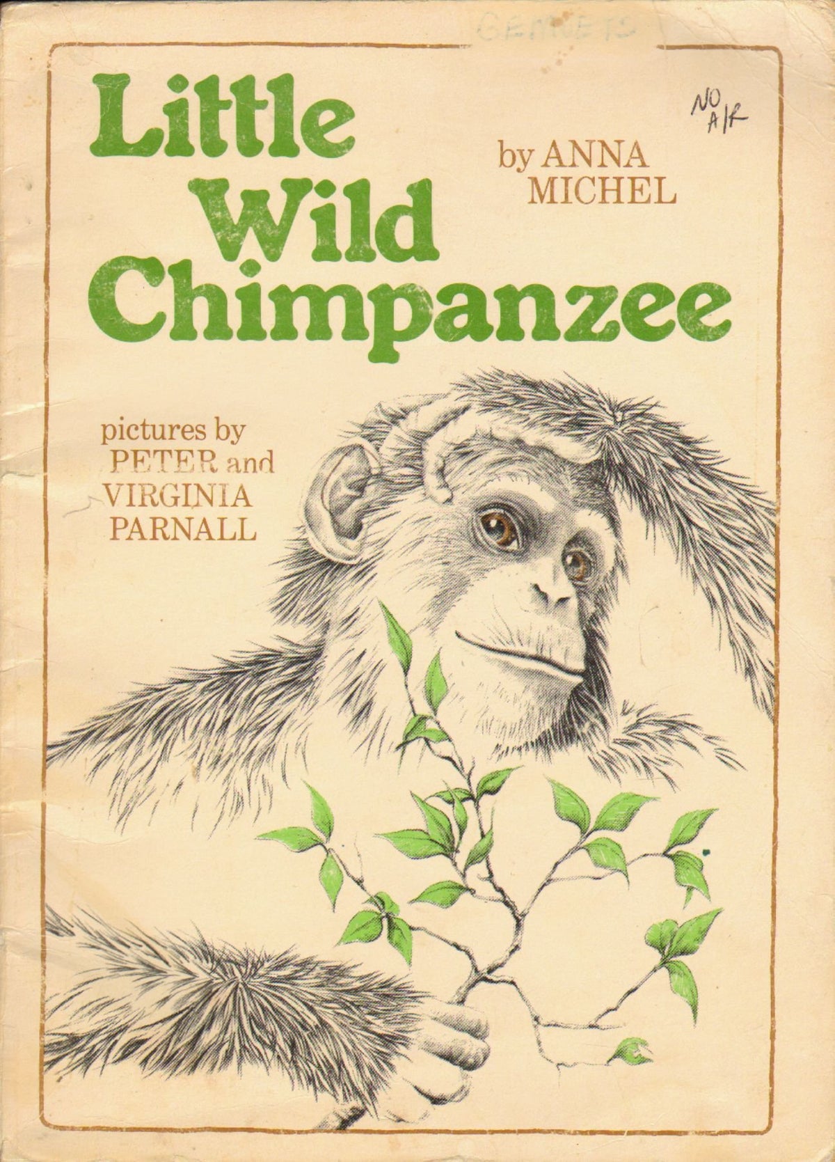 Little Wild Chimpanzee