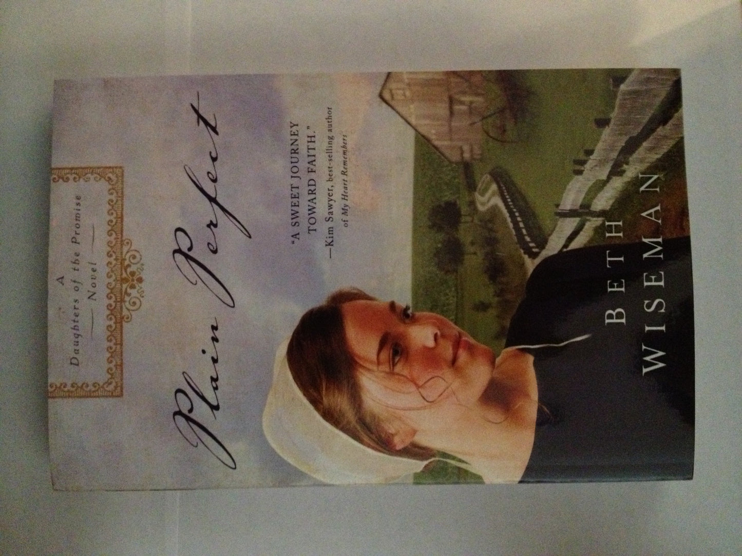 Plain Perfect (A Daughters of the Promise Novel)