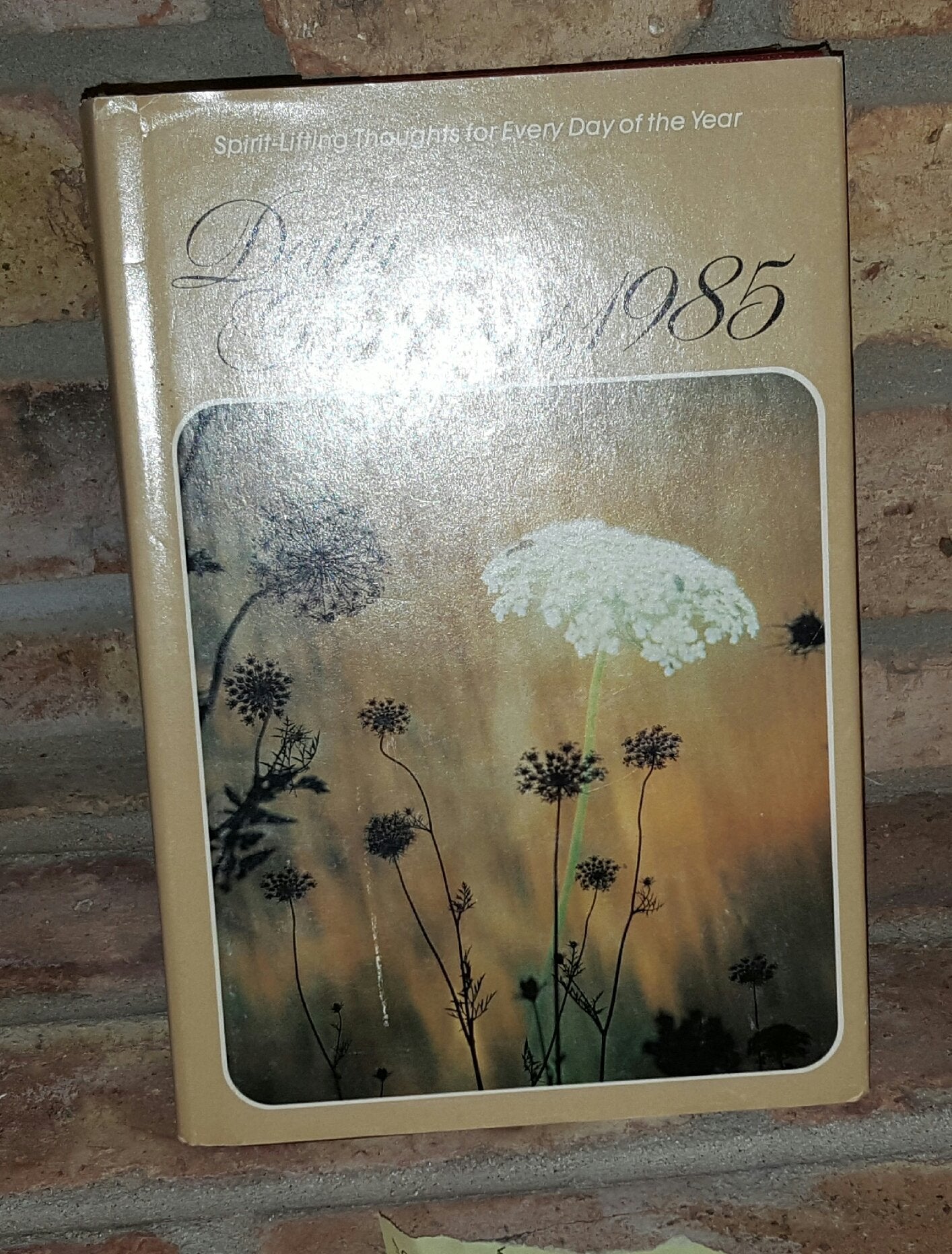 Daily Guideposts, 1985