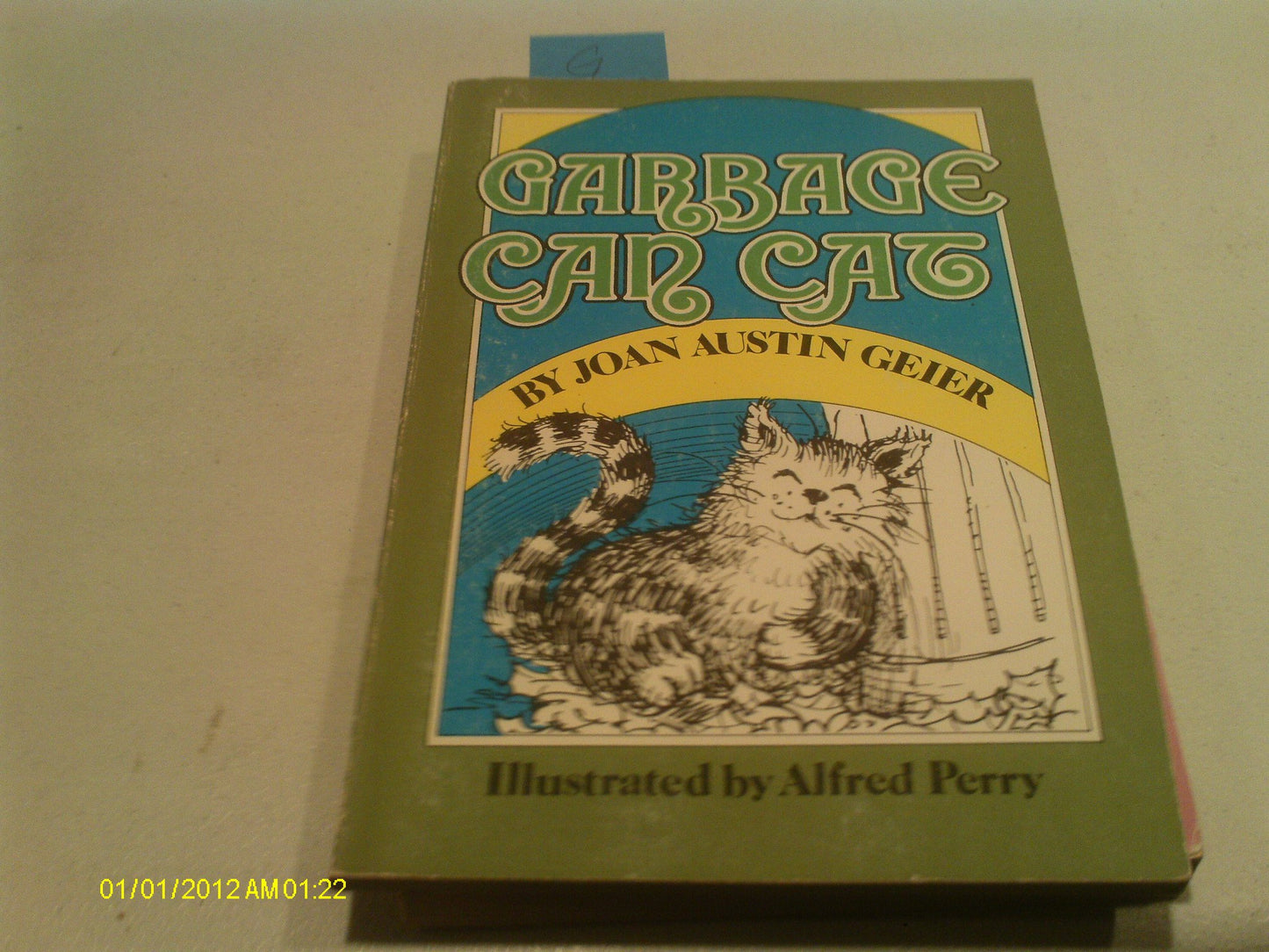 Garbage Can Cat