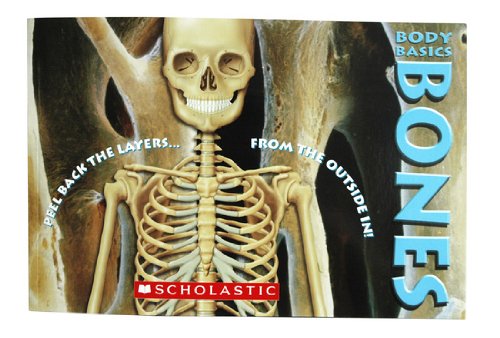 BODY BASICS BONES,PEEL BACK THE LAYERS FROM THE OUTSIDE IN