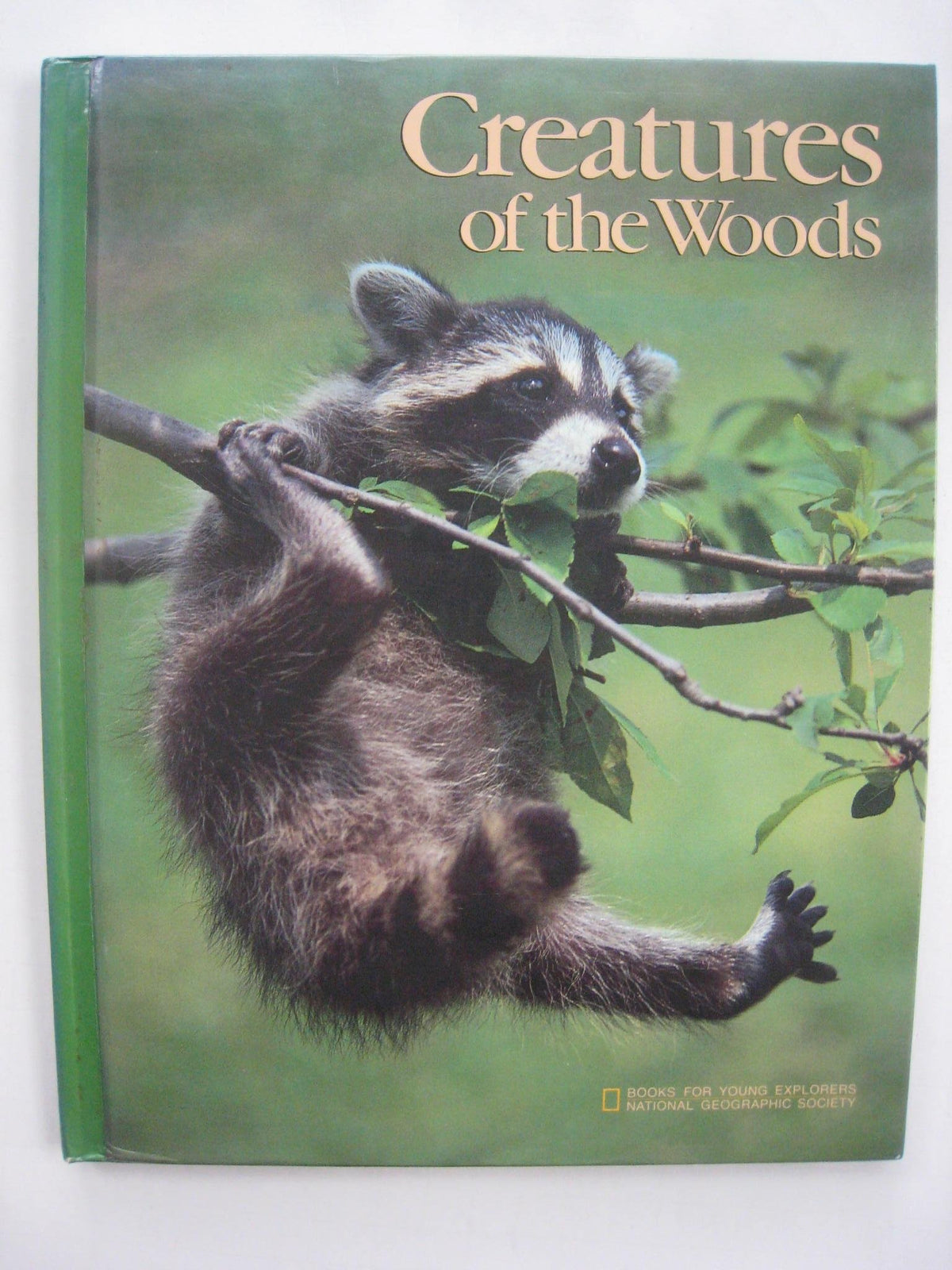 Creatures of The Woods