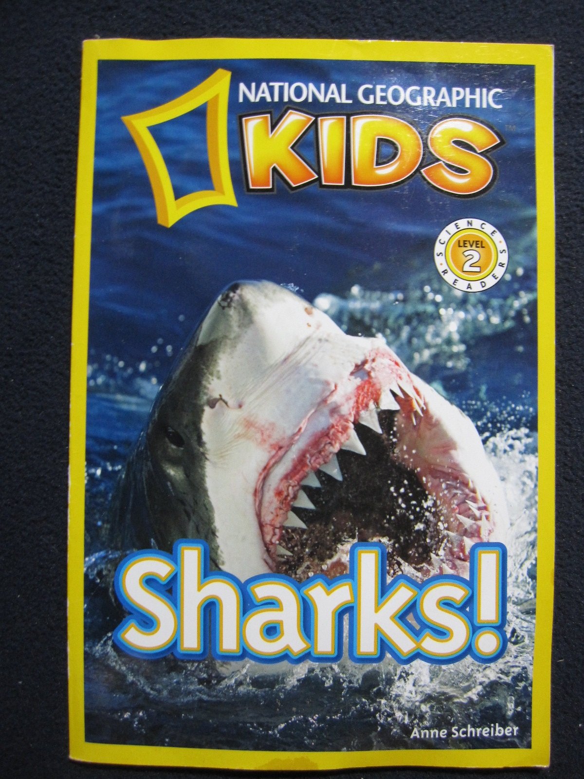 Sharks! - National Geographic Kids