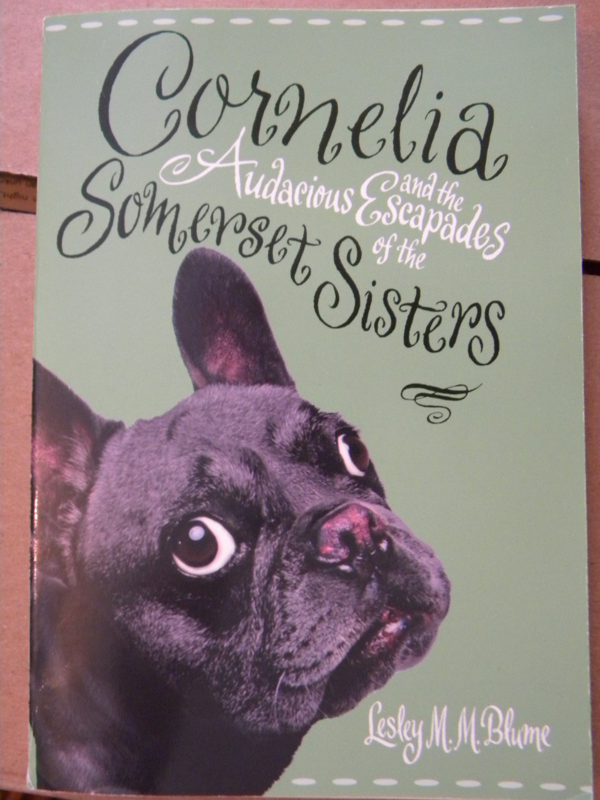 Cornelia and the Audacious Escapades of the Somerset Sisters