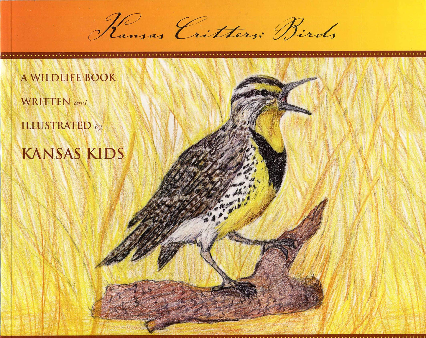 Kansas Critters: Birds