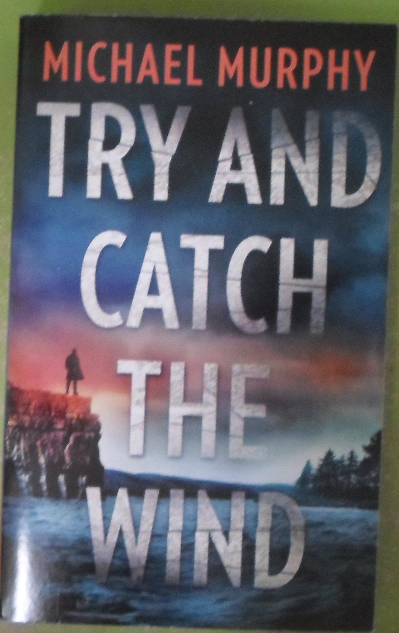 Try and Catch the Wind