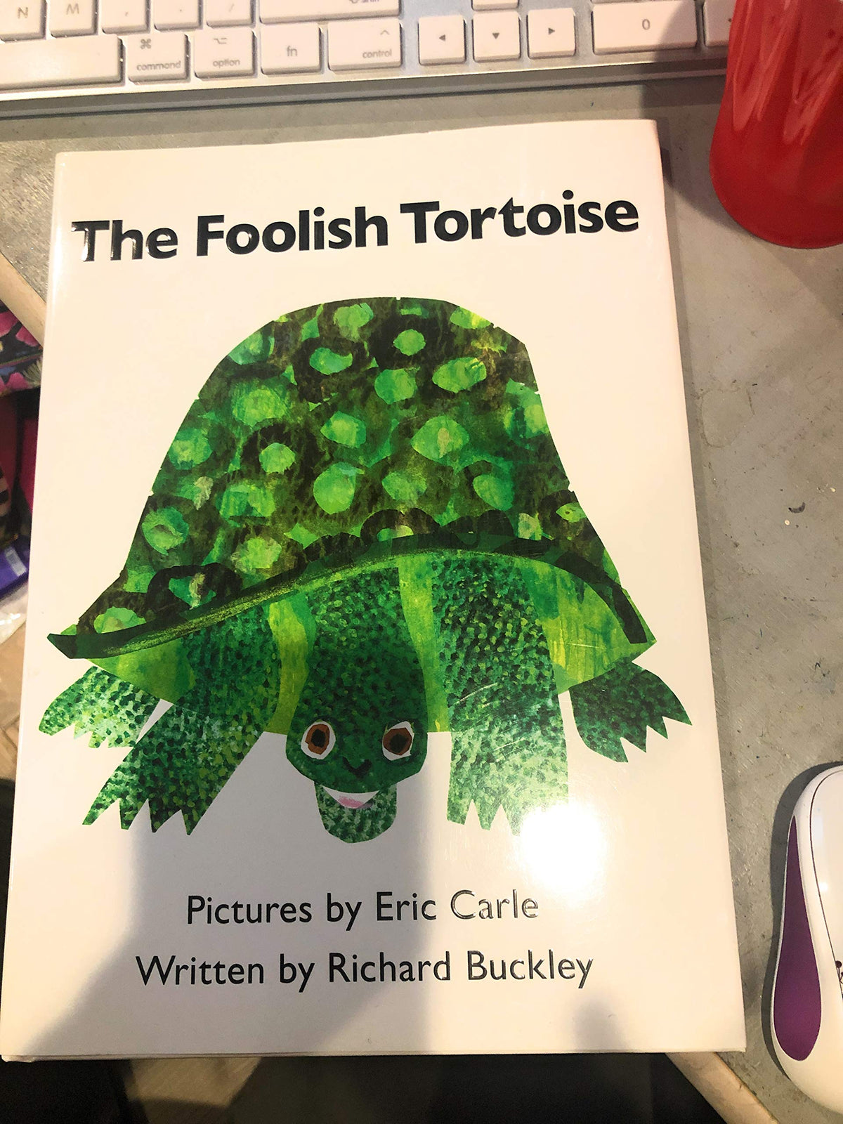 Foolish Tortoise