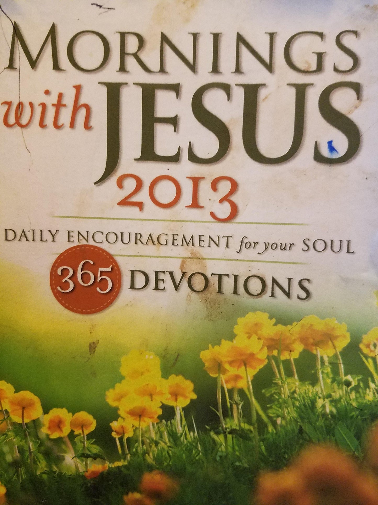 Morning with Jesus 2013: Daily Encouragement for Your Soul 365 Devotions