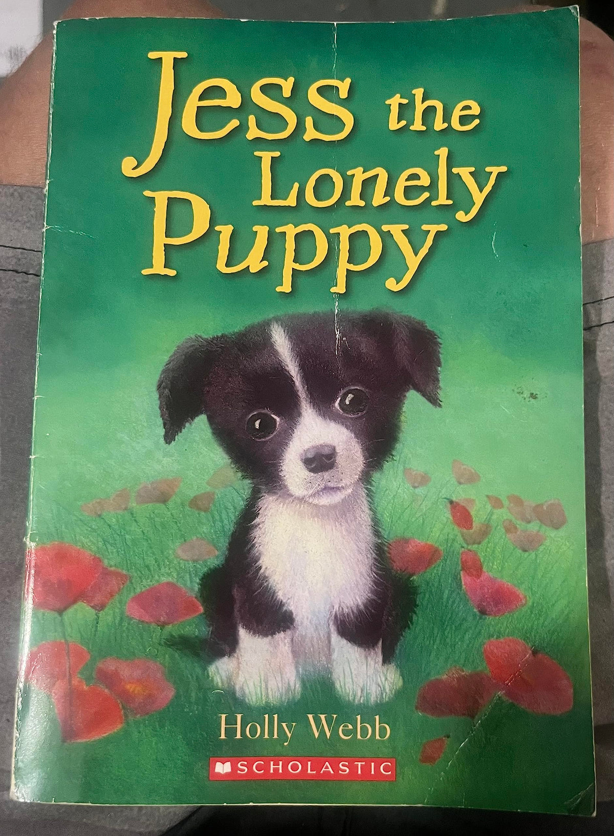 Jess the Lonely Puppy