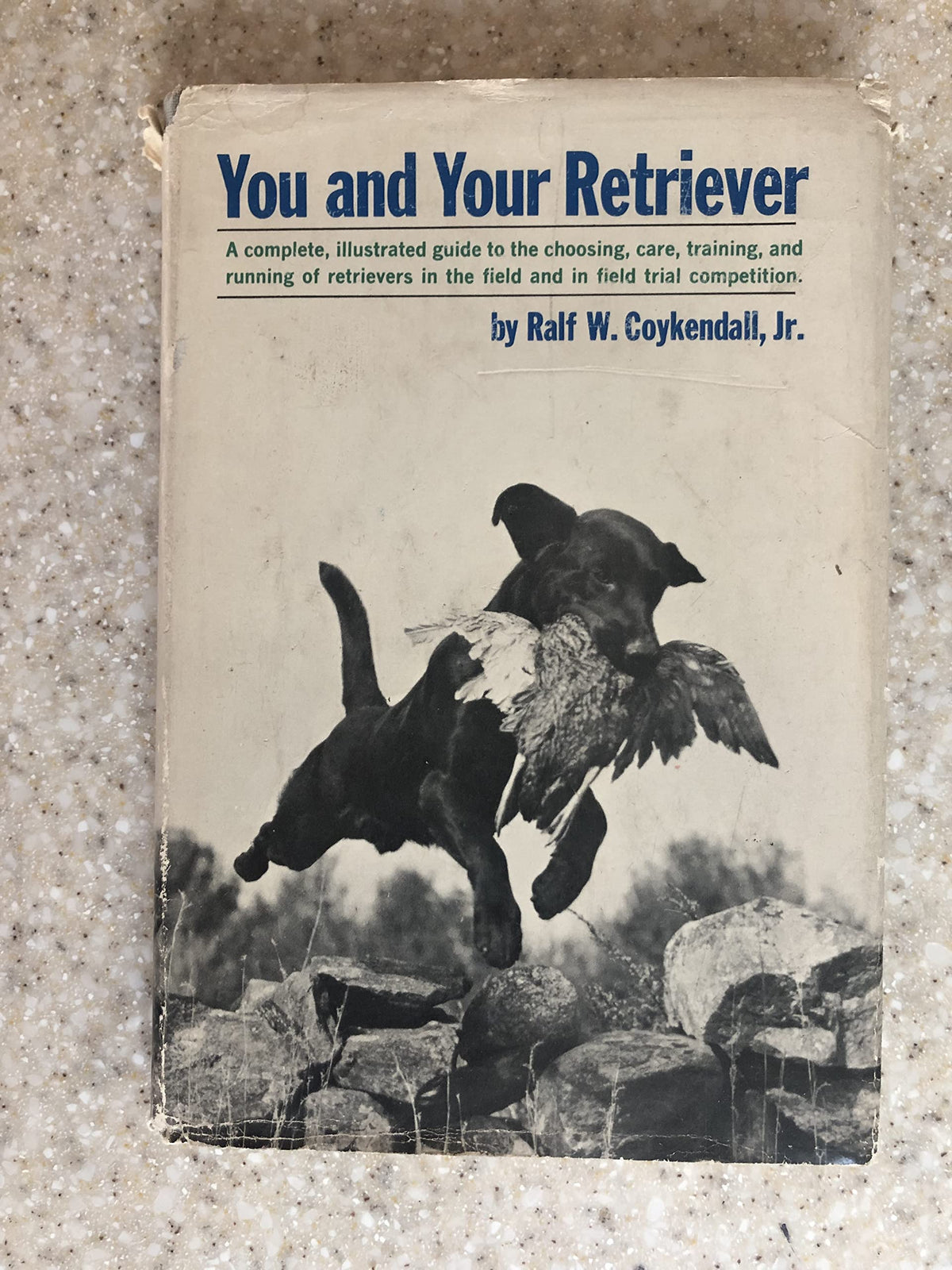 You and Your Retriever by Ralf W. Coykendall