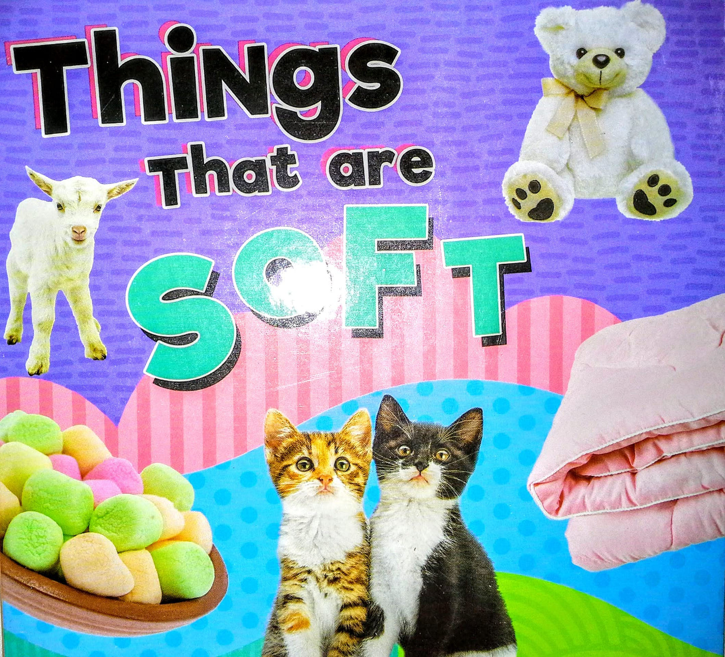 Things That are Soft Children's Board Book