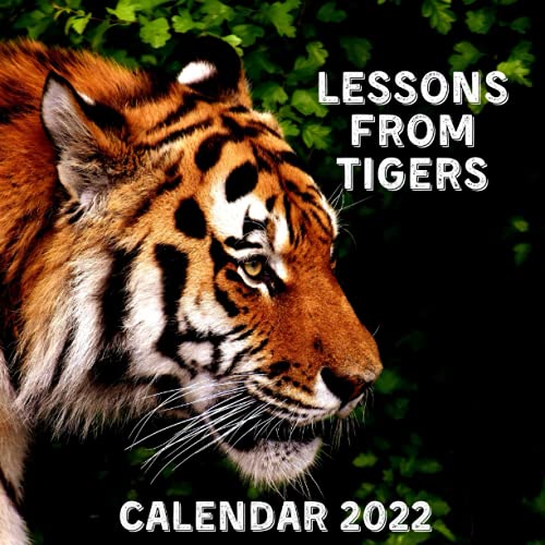 Lessons From Tigers Calendar 2022: November 2021 - December 2022 Monthly Planner Mini Calendar With Inspirational Quotes