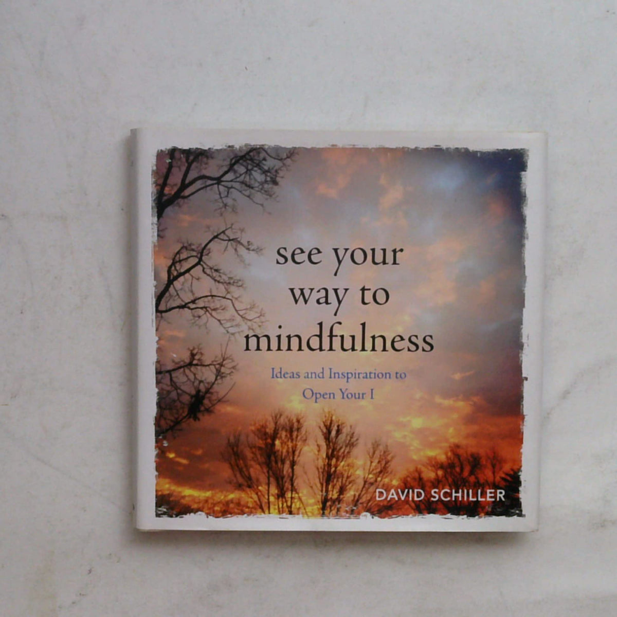 See Your Way to Mindfulness