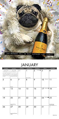 Doug the Pug 2020 Mini Wall Calendar (Dog Breed Calendar)