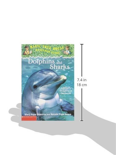 Dolphins and Sharks - 6664