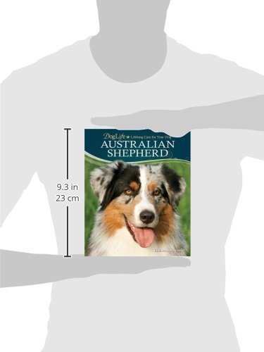 Australian Shepherd (Doglife)