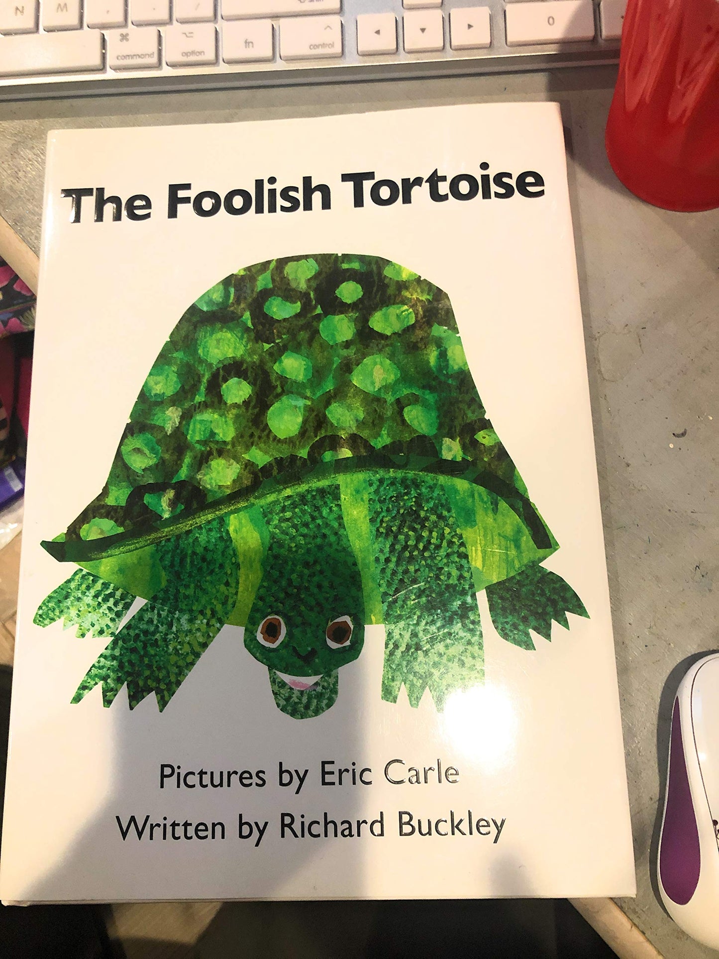 Foolish Tortoise