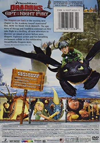 DreamWorks Dragons: Gift of The Night Fury