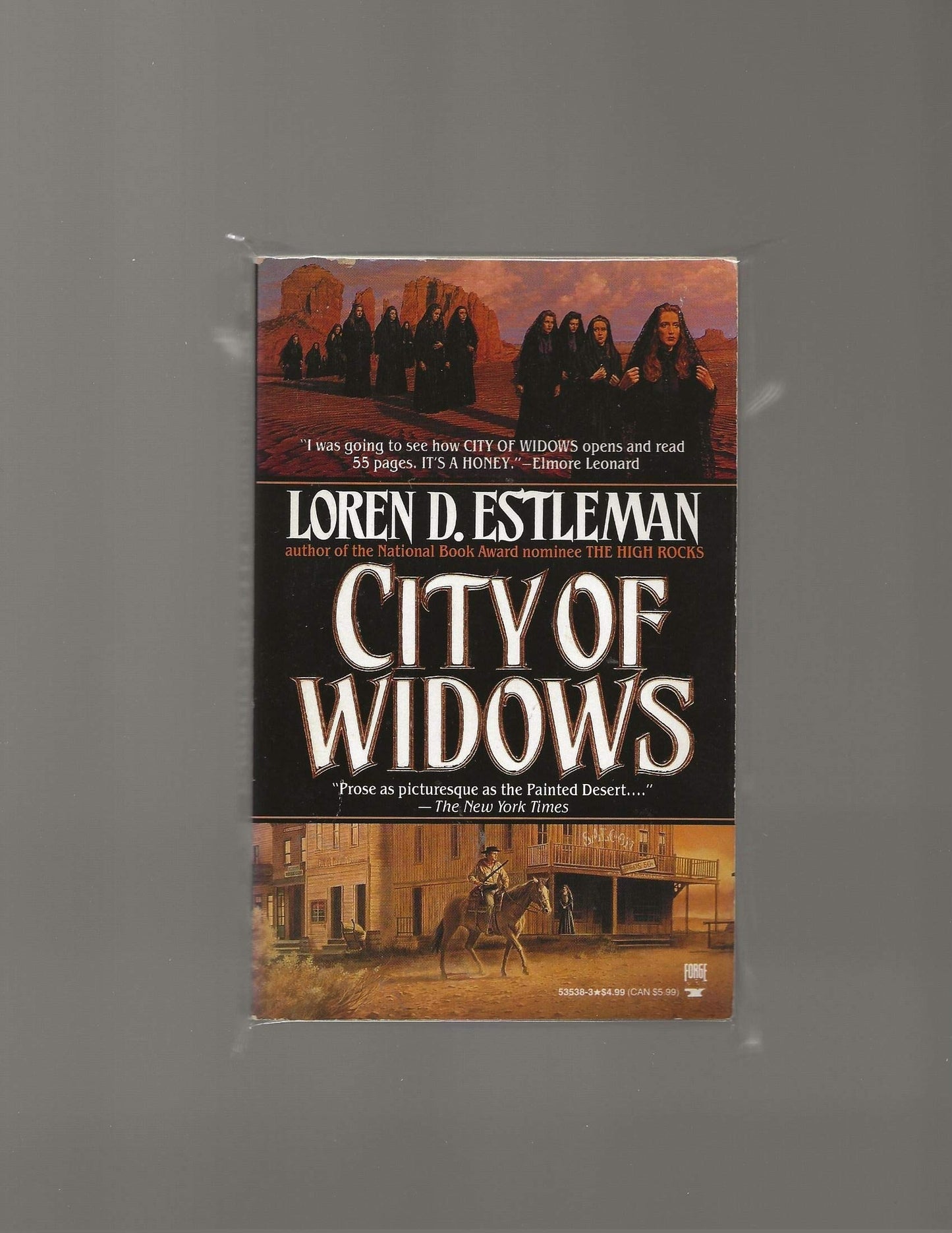 City of Widows (Page Murdock, US Deputy Marshall, Book 5)