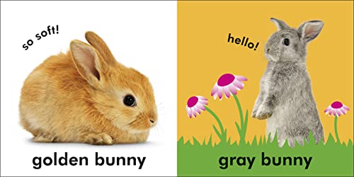 Baby Touch and Feel: Bunny