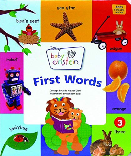 Baby Einstein: First Words