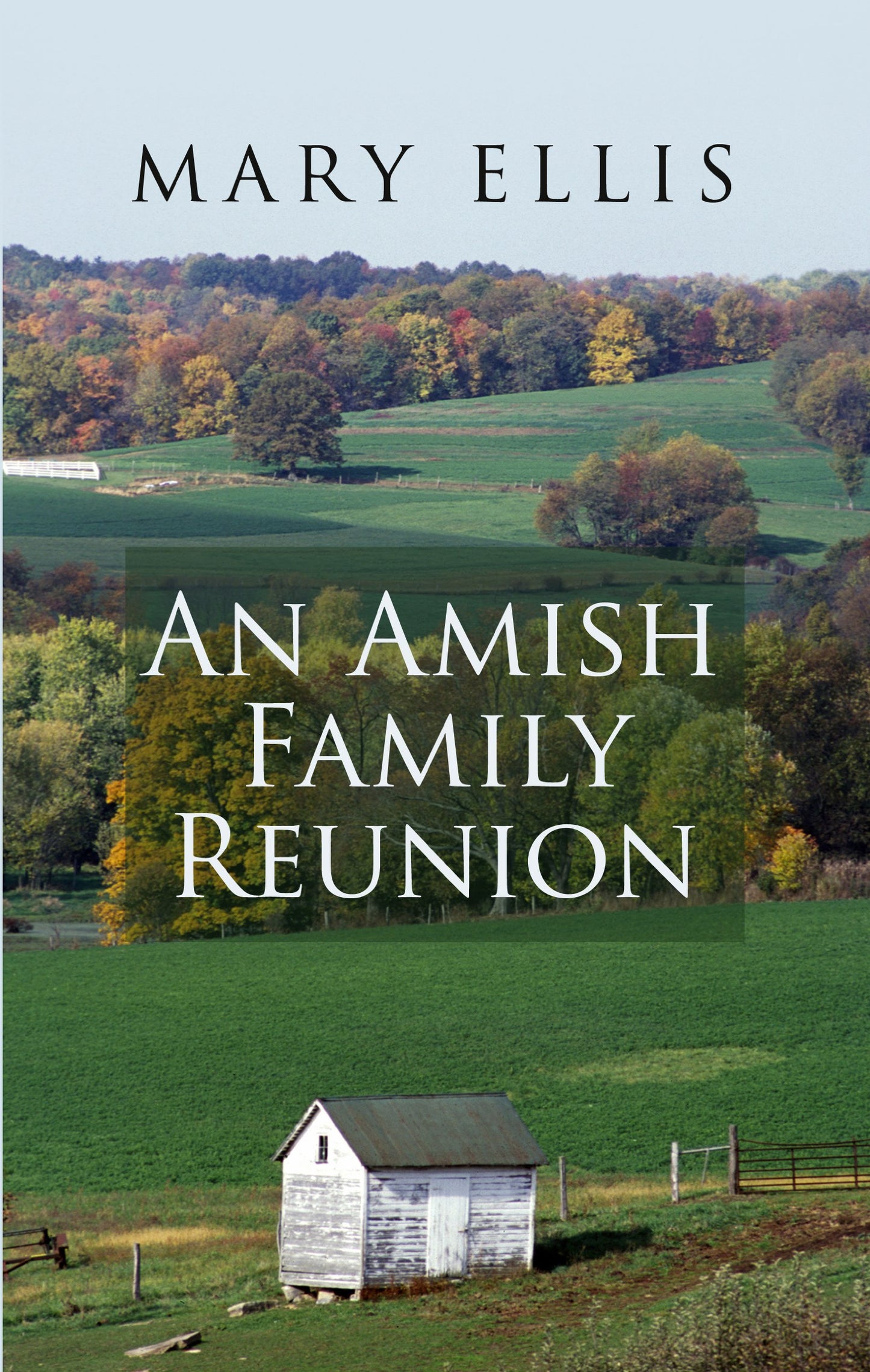 An Amish Family Reunion (Thorndike Press Large Print Christian Romance)