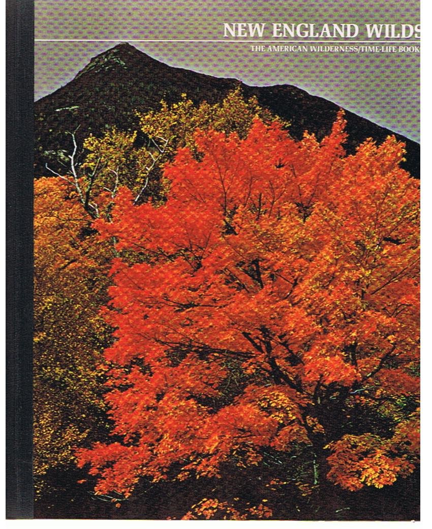 New England Wilds - the American Wilderness