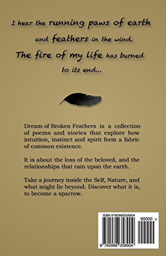 Dream of Broken Feathers