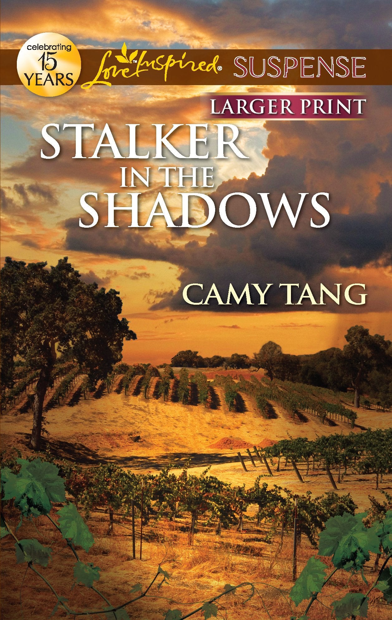 Stalker in the Shadows (Love Inspired Suspense)