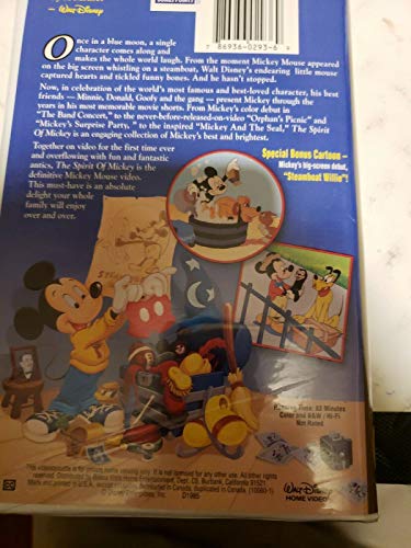 Spirit of Mickey