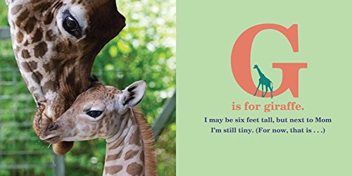 ABC ZooBorns!