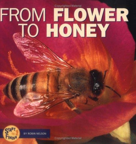 From Flower to Honey (Start to Finish)