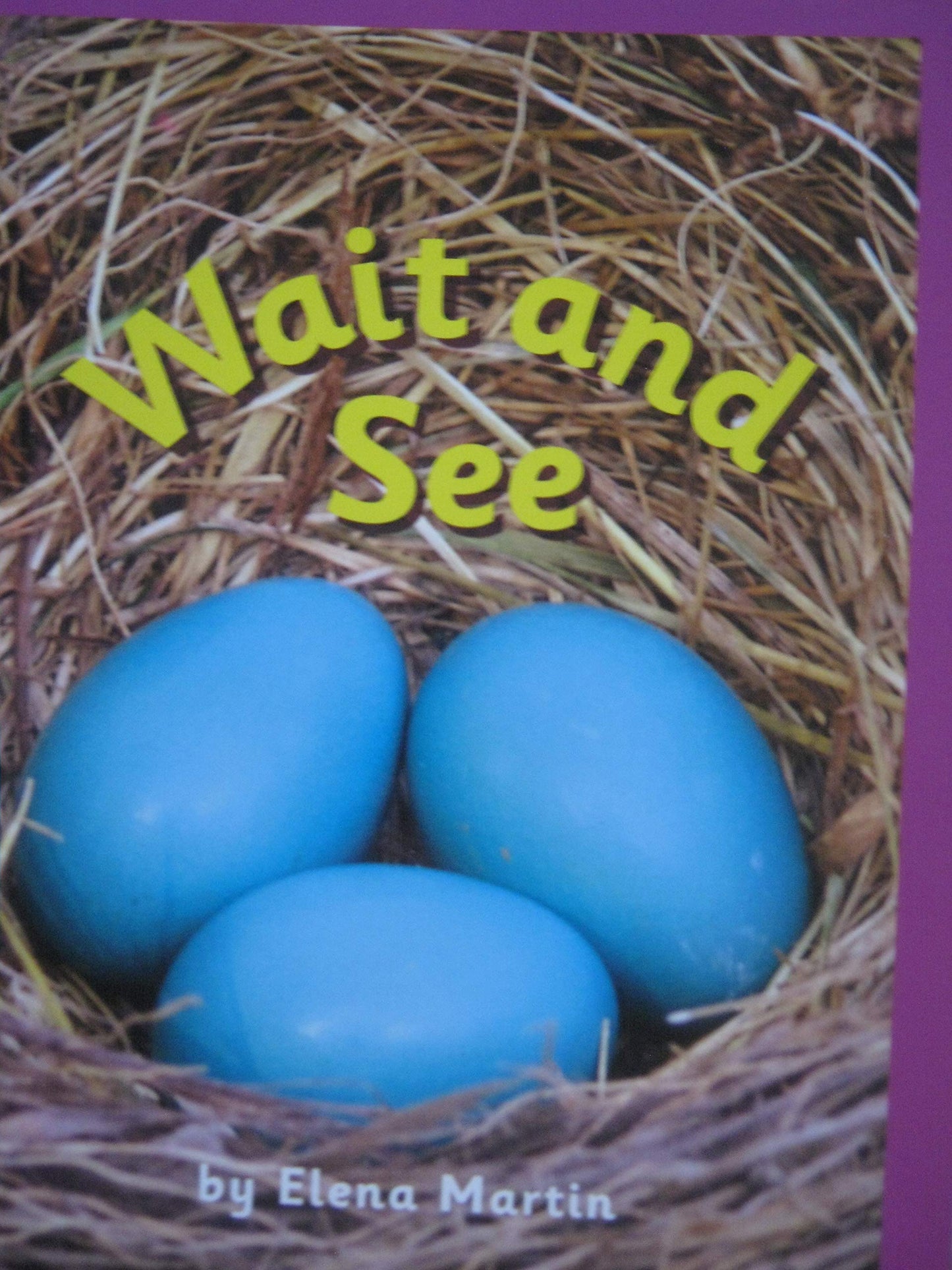 Leveled Reader Library Level 2 Wait and See