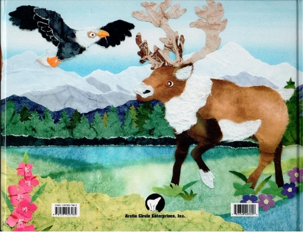 Adventures in Alaska by Ron Hirschi (2009-08-02)