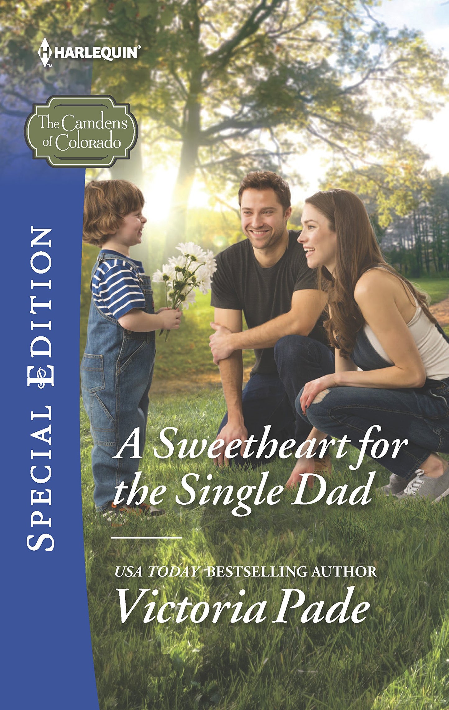 A Sweetheart for the Single Dad (The Camdens of Colorado, 7)