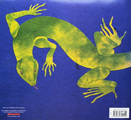 What Do You Do With A Tail Like This? - 5805