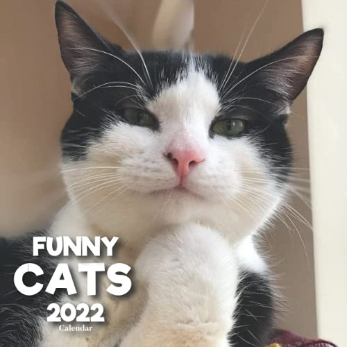 Funny Cats 2022 Calendar: A Monthly and Weekly 12 Months Calendar 2022 With Pictures of the Funny Cats For Desk, Office to Write in Appointment, ... Ideas For Men, Women, Girls, Boys in Bulk