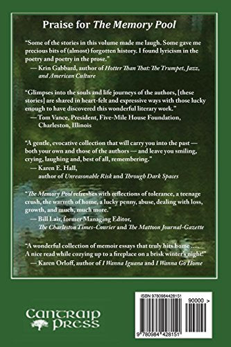 The Memory Pool: Reflections of Past~Forward