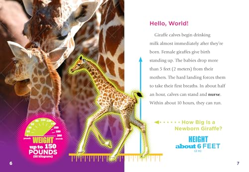 Baby Giraffes (Adorable Animals)